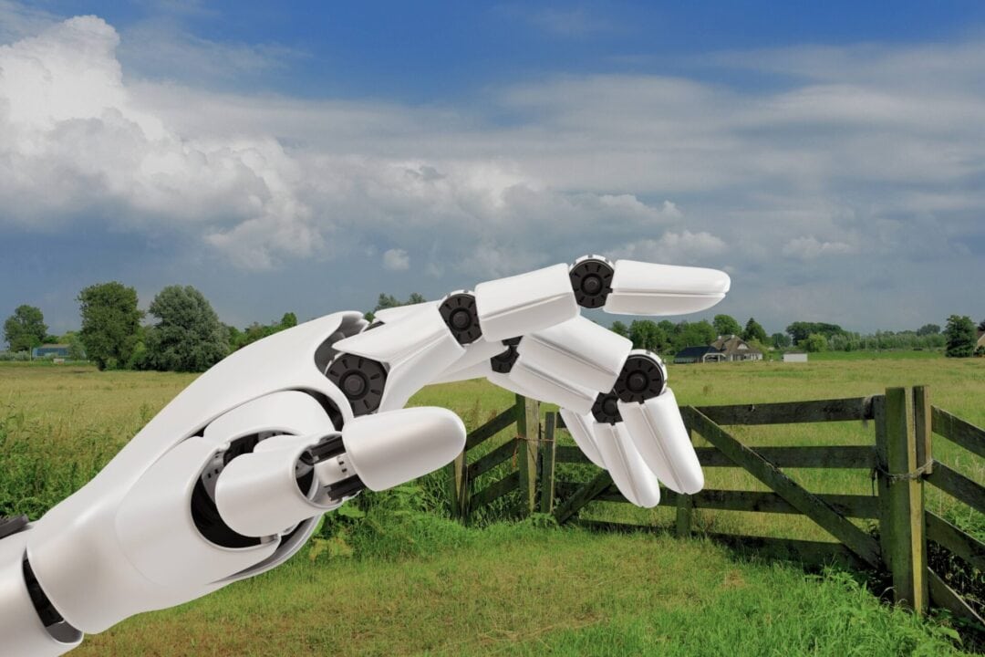 Projet européen REVITAL : découvrez les dernières actualités et la vidéo du projet à l&rsquo;EPS de Garazi