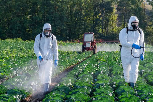 Nouvelle offre de soins : service de consultations de Pathologies Professionnelles et Environnementales