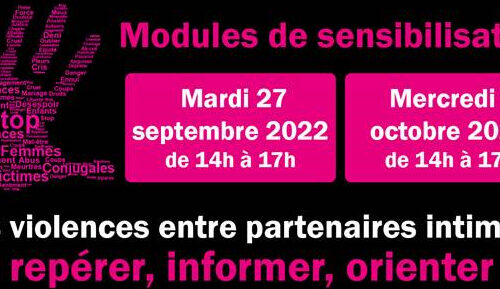 Module de sensibilisation – Violence entre partenaires intimes : repérer, accueillir et orienter les victimes