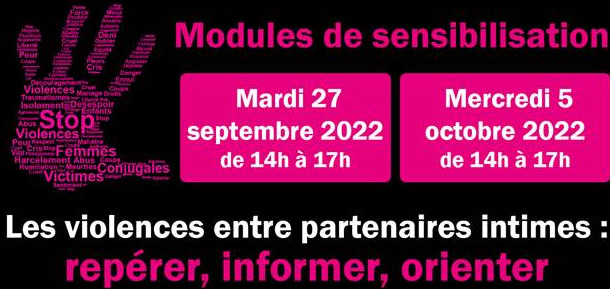 Module de sensibilisation – Violence entre partenaires intimes : repérer, accueillir et orienter les victimes